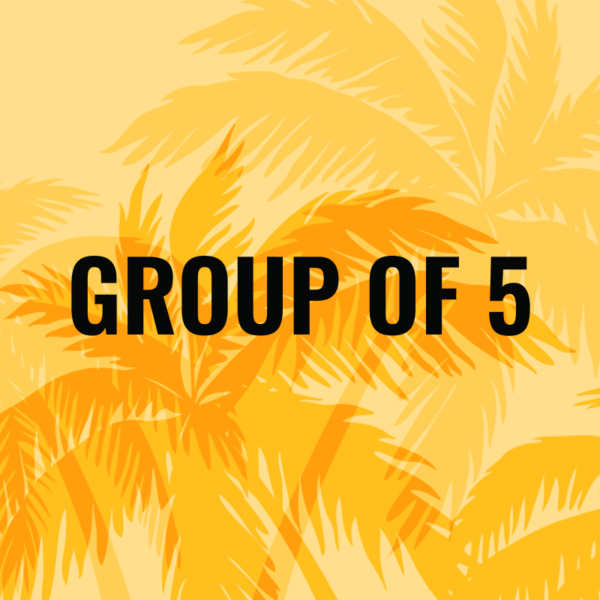 GROUP OF 5